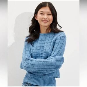 American Eagle Outfitters Blue Crew Neck Sweater
